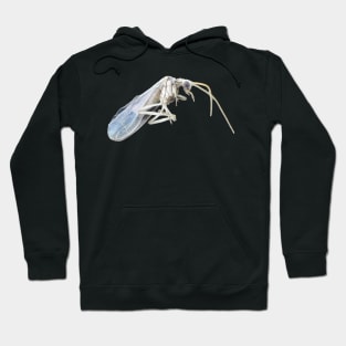 Dustywing (Coniopterygidae) Hoodie